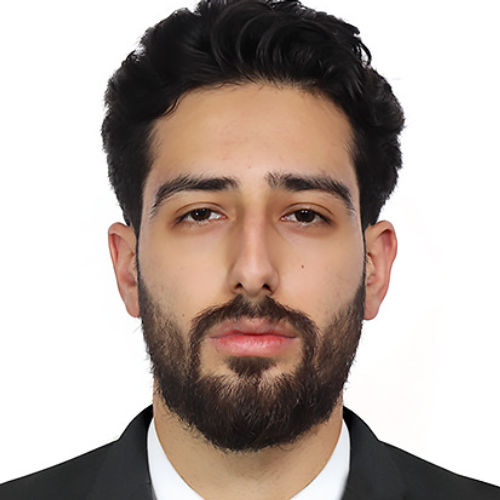 ANSAB AHMED BHAT
