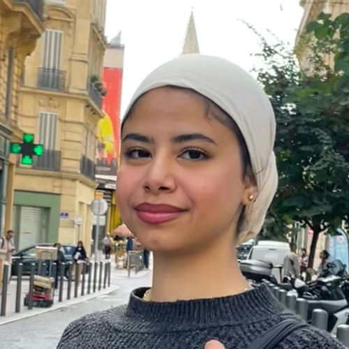 ALAA AL-AWAMI