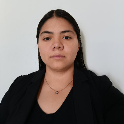Virginia Medina Alvarado